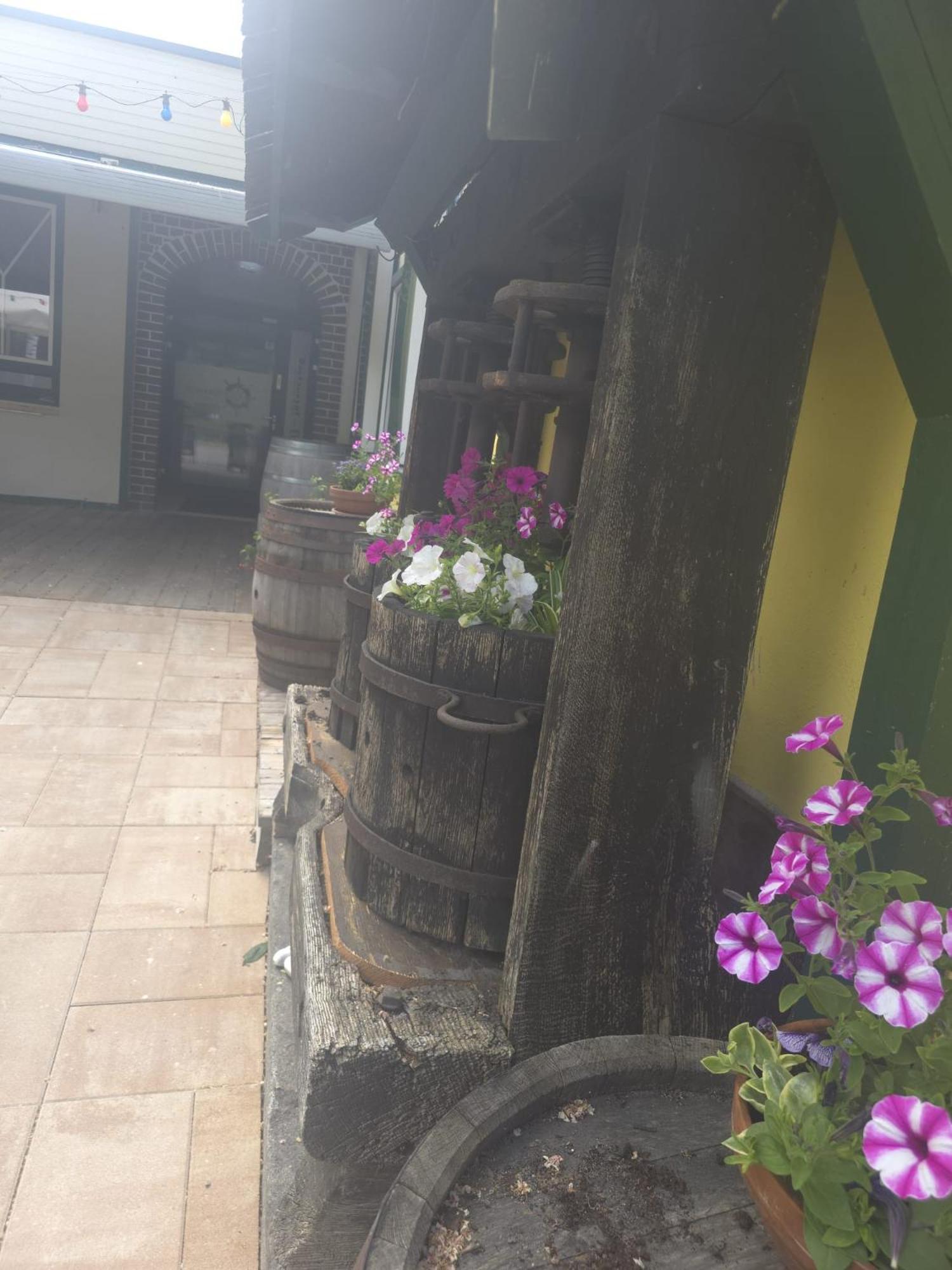 Gasthof Zum Schiffmeister Wesenufer Dış mekan fotoğraf