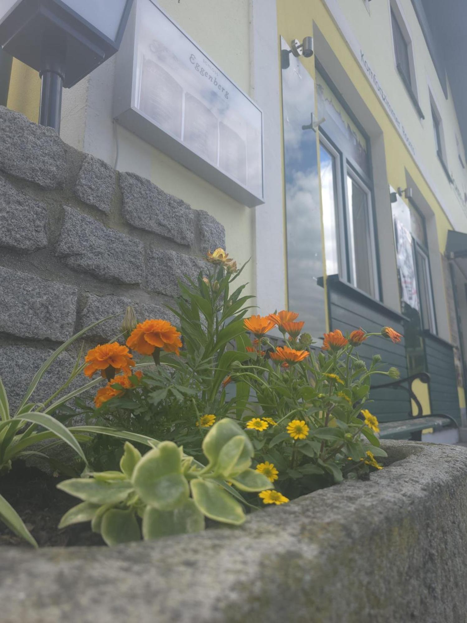 Gasthof Zum Schiffmeister Wesenufer Dış mekan fotoğraf